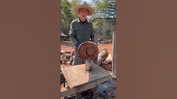 Process of splitting wood with steel cone drill bit #short #machinery #tools