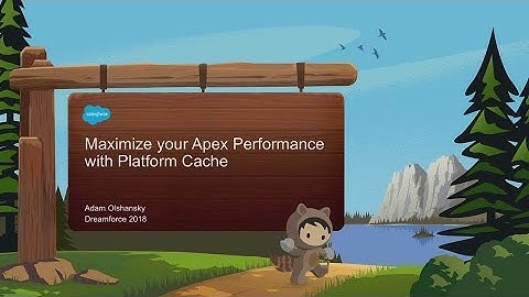 Maximize Your Apex Performance with Platform Cache
