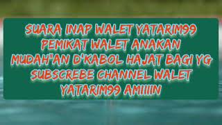 Suara inap walet yatarim99
