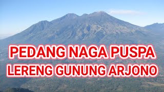 🛑PEDANG NAGA PUSPA LERENG GUNUNG ARJUNA @MBAH JOYO PUSAKA CHANNEL#