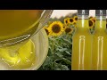 How to Make Sunflower Oil at Home | Pure Cold-Pressed Oil Extraction (Step-by-Step Tutorial)