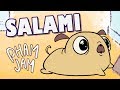 Salami