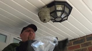 Destroy a Wasps Nest by Hand With a Plastic Bag  Quick and Easy