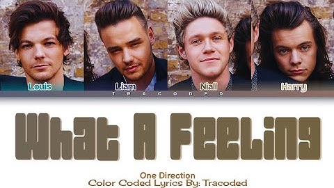 One Direction | What A Feeling (Color Coded Lyrics By: Tracoded)
