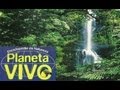 Planeta Vivo - Hawaí: As Ilhas do Paraíso