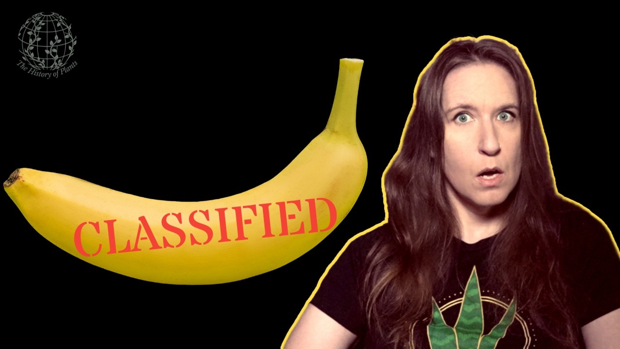 The Corporate Crime Hidden in Your Fruit Bowl