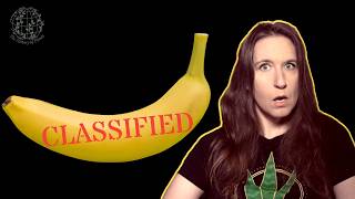 The Corporate Crime Hidden in Your Fruit Bowl