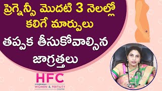 ప్రెగ్నెన్సీ మొదటి 3 నెలల్లో మార్పులు, జాగ్రత్తలు || First Trimester: Changes and Precautions || HFC