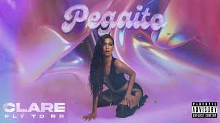 Video thumbnail of "Clare, FLY TO RR - Pegaito (Cover Audio)"