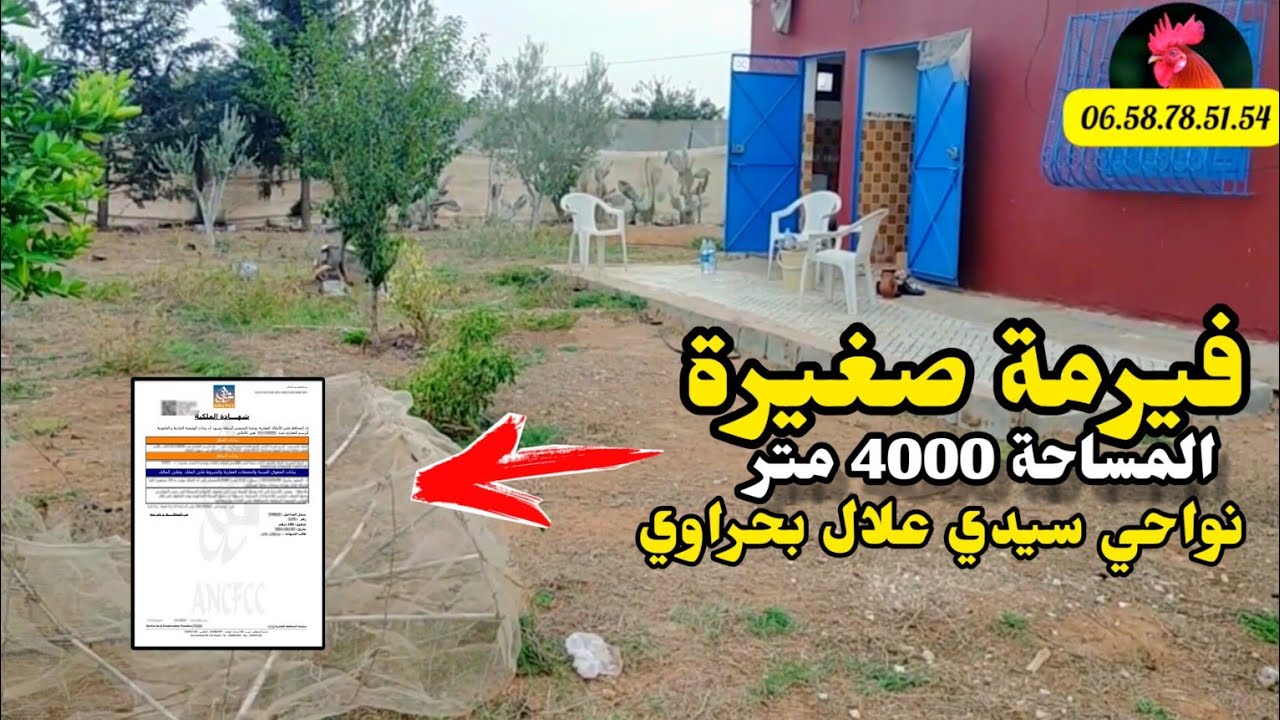 تم لبيع ⛔ فيرمة صغيرة قريبة من طريق الوطنية ب 3 كولوميط نواحي 🔥سيدي علال بحراوي.