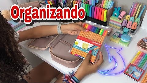 ORGANIZA E FALA - ESTOJO 100 PENS DA TILIBRA