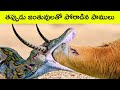 Top 10 snakes messed with wrong opponents | snake videos | BMC Facts | interesting facts | Paamulu