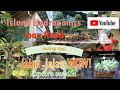 Going to seminar to learn how to purify home with plants | Island Hydroponic Plants Thomson | 2019