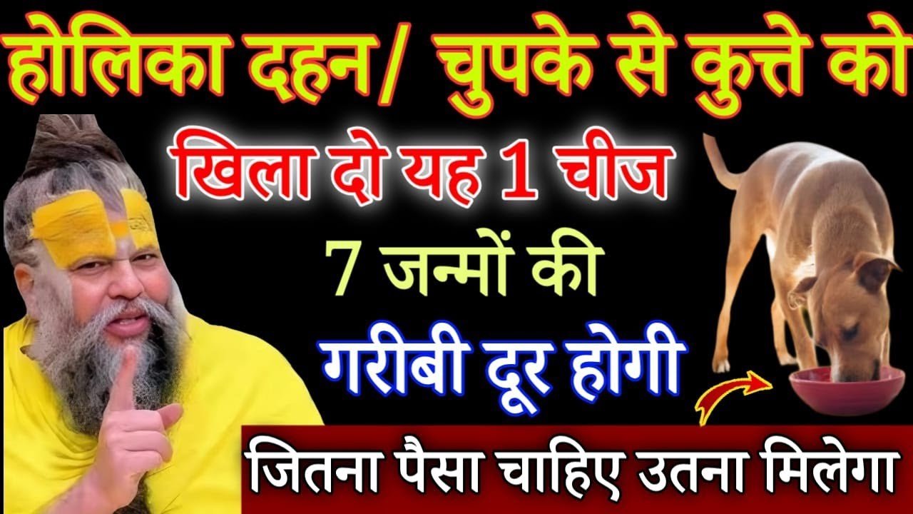 होलिका दहन के दिन चुपचाप कुत्ते को खिला दो यह एक चीज, आपकी 7 जन्मों की गरीबी दूर होगी#premanandji