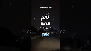 This is how you say " Yes “ in Basic Fusha Arabic #fusha #msa #arabic #learnarabic
