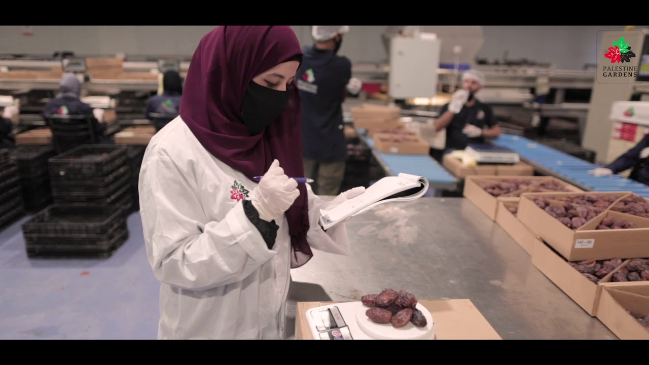 Palestine Gardens Co. Video (Medjoul Dates) English version YouTube