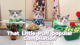 The most popular collection2 | That Little Puff Compilation😚