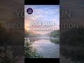 Your brain believes in repetition
