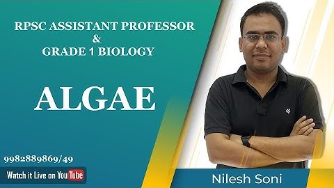 Thallus Organisation In Algae For RPSC ASSISTANT Professor and First Grade Biology. Nilesh Soni