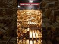 Gold Mine: World’s Largest Gold Mine? Inside America’s Billion-Dollar Gold Belt 💰 | #GoldMine #Gold