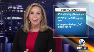 Wawa stores across Florida holding job fairs Wednesday