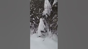 Cub Cadet 28 x2 snow blower