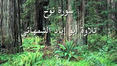 سورة نوح .. أبو إياد الشمهاني