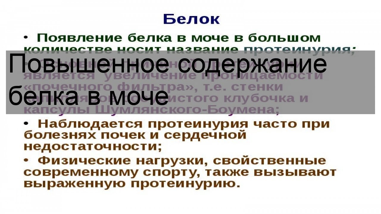 Повышенное содержание белка в моче. Повышение белка в моче причины. Повышение белка в моче. Повышенный белок в моче.