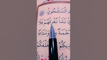 سورة يس الأية 41 إلى 46 القارئ سعد الغامدي