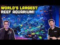 17,000-Gallon Reef Tank Tour 🌊 by Polo Reef