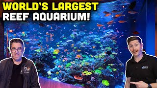 17,000 GALLON Reef Tank Tour! INSANE UPDATE on the Largest Home Aquarium with Polo Reef!