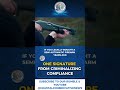 ONE SIGNATURE FROM CRIMINALIZING COMPLIANCE