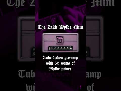 OUT NOW!The Wylde Audio 50 Watt Tube Hybrid Mini Amp!