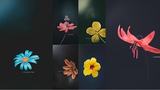 How to edit Moody Flower/Leaf Photography - Lightroom Mobile & Ps touch tutorial @moodytone screenshot 1