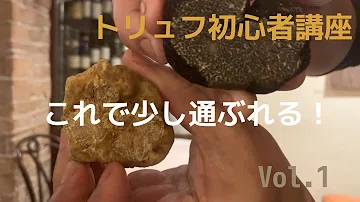 تحميل 黒い砂漠 トリュフ تحميل 黒い砂漠 トリュフ