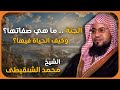 الشيخ محمد الشنقيطي وصف الجنة ماذا يري المؤمنون في الجنة