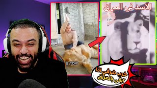 ميمزات تحشيشية !! مستحيل ماتضحك انا انتهيت ههههه