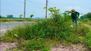 AMAZING transformation Sidewalk?Volunteering,Hard WORKING clean the overgrown