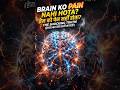 Brain Can't Feel Pain #facts #viral #shorts