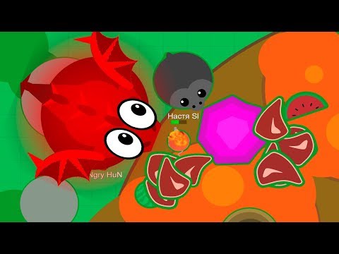 Прокачка за Дракона, как быстро прокачаться до Дракона в Мопе ио | MOPE.IO