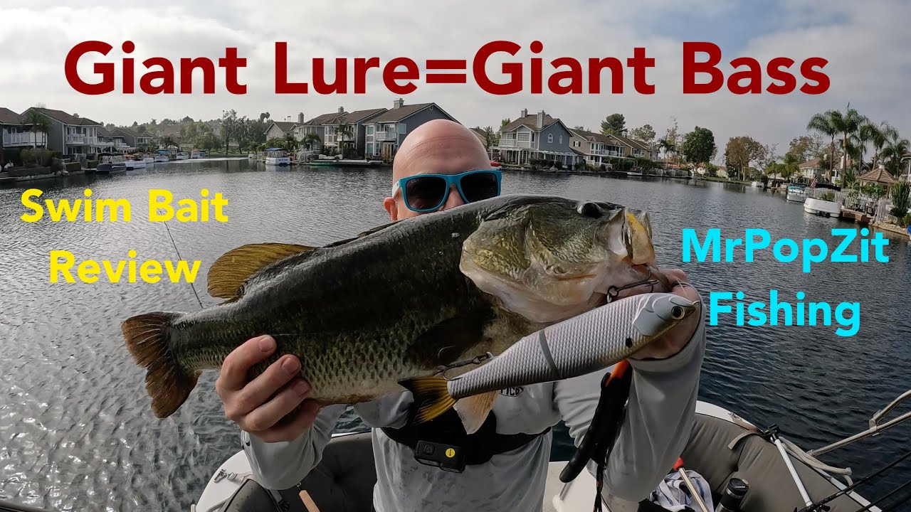Giant bass slams giant lure. “The draw” 9 inch glide bait by 6th sense. Swim bait fun!