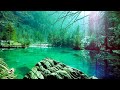 12 Hours of Relaxing Sleep Music for Stress Relief, Sleeping & Meditation (Flying)