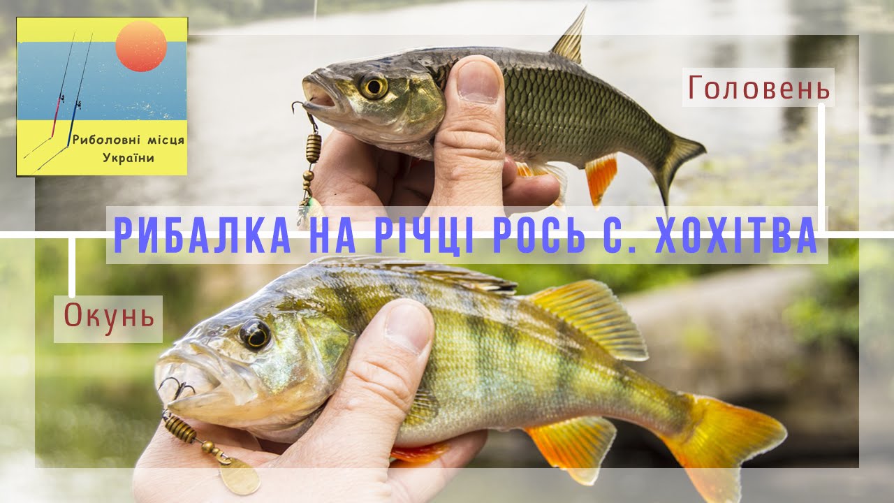 Рибалка на річці Рось