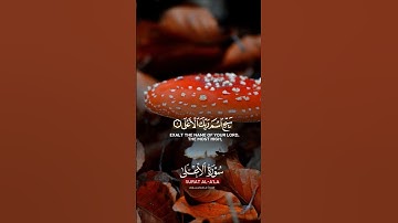 سبح اسم ربك الأعلى 🎧♥️ #ماهر_المعيقلي #سورة_الأعلى #قرآن #قران_كريم #quran #حالات_واتس #اكسبلور