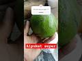 alpukat Samosir