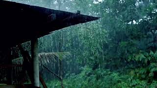 sleep Instantly with the Sound of Rain and thunder
