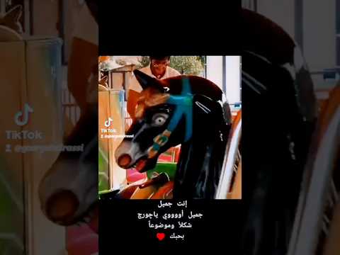 چورچ وچو جورج الراسي الغائب الحاضر   طرب  طربيات