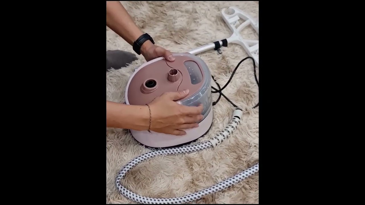 Stand Type Garment Steamer