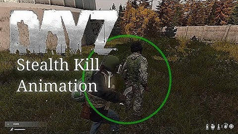 DayZ 1.14 - Stealth Kill Animation!