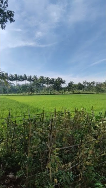 GARUT